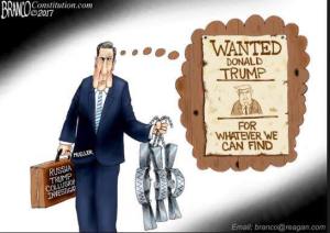 30728599_1875714885785921_4604954520479334400_n