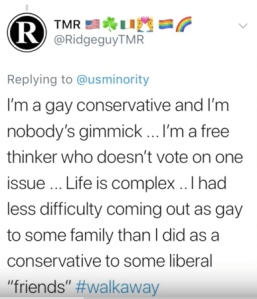 Gay Conservative