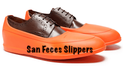 Slippers.png
