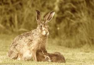 4D213DAE00000578-5829393-image-a-30_1528714361214