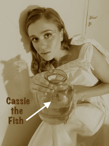 Screen Shot 2018-12-19 at 7.44.38 AM